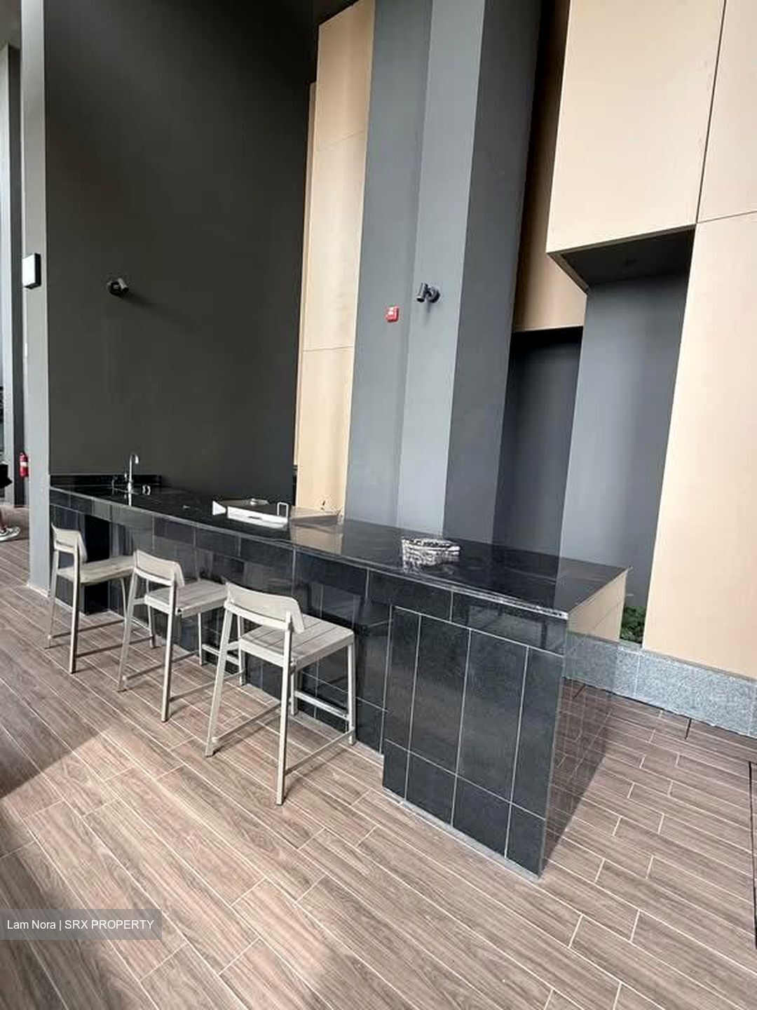 Irwell Hill Residences (D9), Apartment #600321811